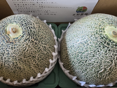 【濃厚な甘さ】渥美半島産『タカミレッド』1.3kg×2玉