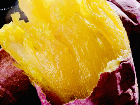 3種　1番人気サイズの食べ比べ❣️S〜Lサイズ
9.8kg