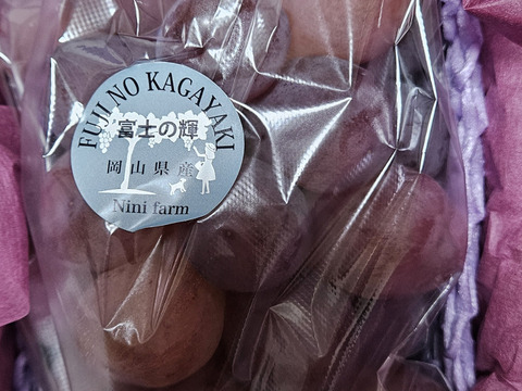 【数量限定】希少品種 大粒大房富士の輝一房詰め(約800g) 岡山県産 特秀ランク(熨斗対応可) 【夏ギフト】