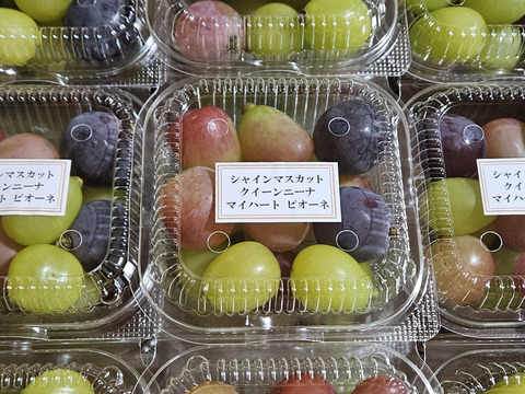 【ご家庭用】葡萄詰合せ2kg箱