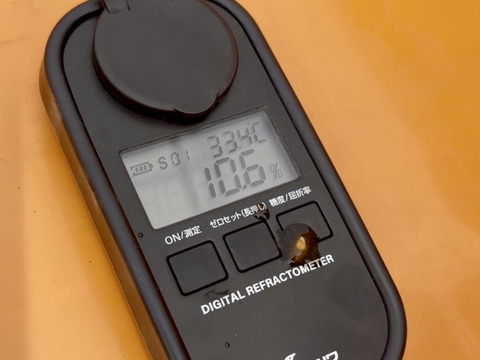 ミディトマト・中玉トマト・高糖度フルーツトマト『フルティカ・シンディースイート』合わせて 1kg
栽培期間中農薬・化学肥料不使用♪