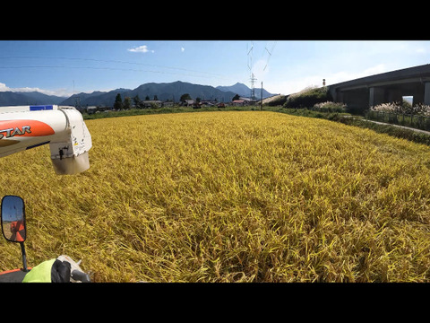 塩沢産コシヒカリ　精米3キロ 南魚沼産コシヒカリ
