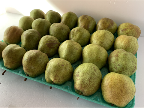 フードロスにご協力下さい‼️山形県産ラフランス【訳あり小玉5キロ】