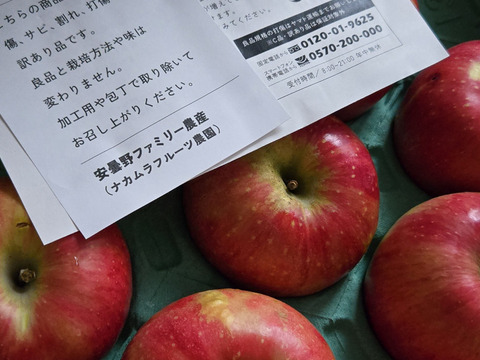 【りんごの概念変わります】見た目は悪いです！奥州ロマン 訳あり品 5キロ箱 15玉から33玉くらい ID12924 長野 信州 安曇野 リンゴ 幻 幻のリンゴ  希少  甘い