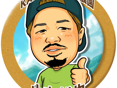 【超人気！】大野ヶ原大根と大野ヶ原キャベツセット　大根はLサイズ3本　キャベツはLサイズ3玉　大根は葉は半分カットします。