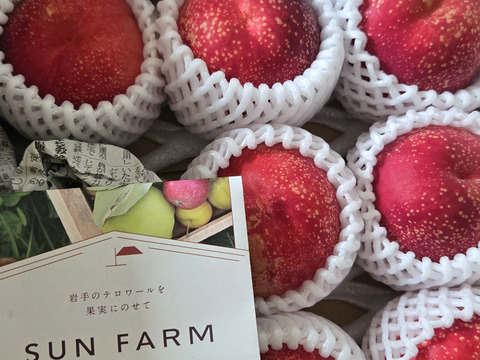 極甘！とれたてネク桃・ハネージュB品（約3㎏）