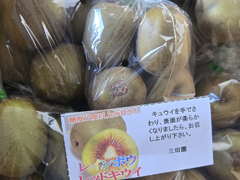 【もうすぐ終了】希少品種！甘くて美味しい🥝レインボーレッド🥝２ｋｇ　小玉～中玉