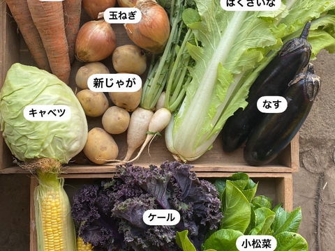 【数量限定】最旬の1品おまけ付！農薬不使用野菜セット(9品)/レシピ付き