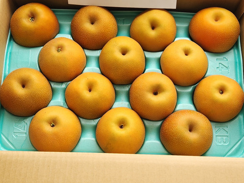 【南水5ｋｇ】糖度15°、超甘い、シャリ感、硬い、ジューシー、日保ちする信州生まれの優れもの！⑦【秀品】