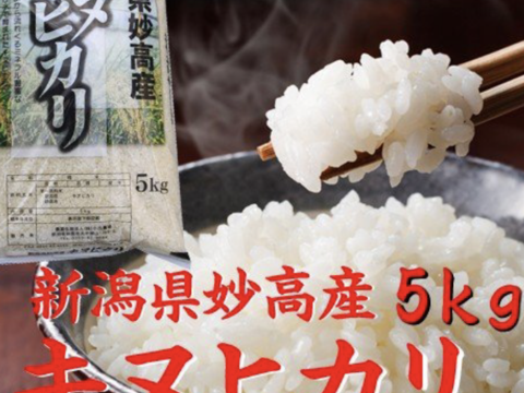キヌヒカリ 10kg 白米 令和二年産