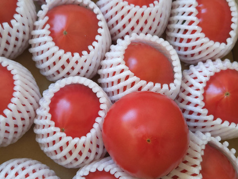 【こだわり土耕栽培】濃厚な愛情と旨み！こてらんねぇトマト M〜Lサイズ(約3kg 入り)