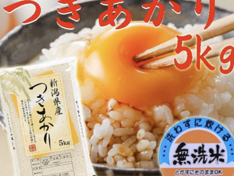 つきあかり 5kg 無洗米 令和二年産