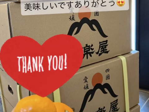 ※予約割引※【最高級】真穴（まあな）産地直送　極上みかん　S〜Lサイズ　10kg 贈答