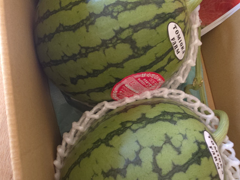 極み小種】小玉スイカ🍉ピノガール2玉セット：熊本県産のその他