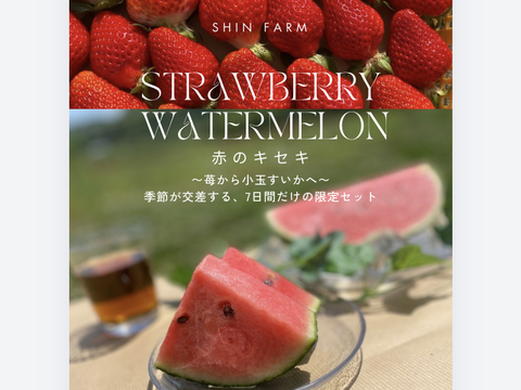 【赤のキセキ】〜苺から小玉すいかへ。季節が交差する、7日間だけの限定セット〜