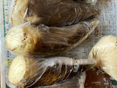 農薬無使用　千葉県産　たけのこ　4kg