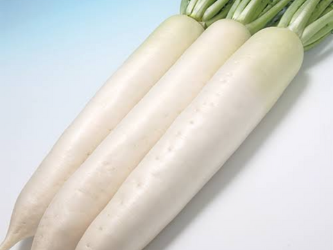 【超人気！】大野ヶ原大根と大野ヶ原キャベツセット　大根はLサイズ3本　キャベツはLサイズ3玉　大根は葉は半分カットします。