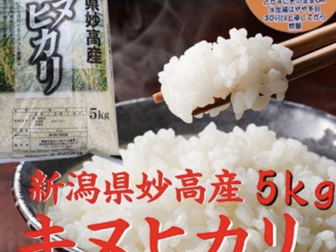 キヌヒカリ 10kg 無洗米 令和二年産