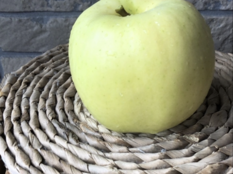 10月上旬発送！[青森の秋をお届け] ひろさきふじ×トキ　3kg りんご食べ比べ