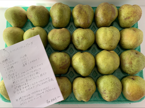 フードロスにご協力下さい‼️山形県産ラフランス【訳あり小玉5キロ】