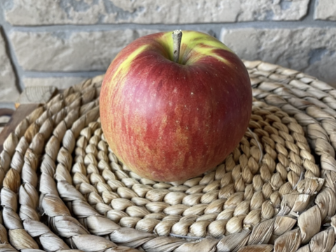 一度食べたらクセになる　木村農園の葉とらずスイート　3kg