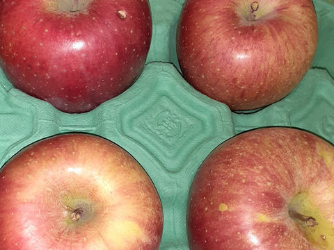 令和7年度産早期予約セール7%OFF大玉から順に発送‼️🍎青森県産葉取らず完熟ふじ約6kg家庭用‼️とことん味にこだわりました😊