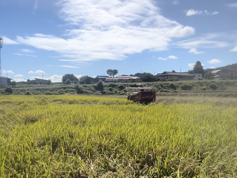 21歳若手農家が作る はえぬき 10kg