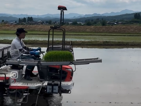 10月上旬発送 令和7年産 新米 特別栽培米 幻のコシヒカリ10k白米