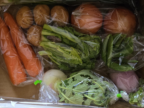 売上第１位❗️☆畑直送☆【福岡県糸島産】朝獲れ＊無NO薬野菜セット(10品前後)【糸島市ふるさと納税出品商品】