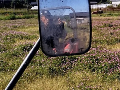 【新米】♣️一度食べてみてほしいお米　麻奈為🌾　京丹後峰山産　特別栽培米コシヒカリ６㎏とミルキークイーン３㎏　【玄米9㎏混合】　(希望者精米無料）