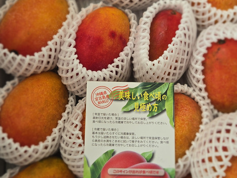 沖縄県宮古島産】加工用：完熟マンゴー5kg：沖縄県産のその他