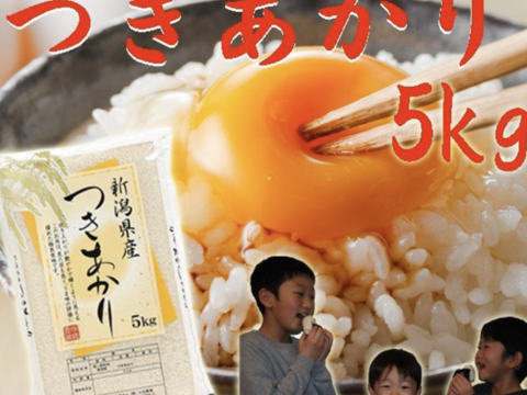 つきあかり 5kg 白米 令和二年産
