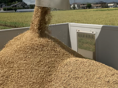 令和5年度埼玉県産/新米】🌾コシヒカリ精米10kg：埼玉県産のコシヒカリ