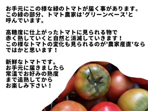 ［予約販売］むぎゅっとがっしり！！個性派！濃旨フルーツトマト（箱入り・約1kg)