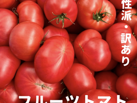 ［予約販売］むぎゅっとがっしり！！個性派！濃旨フルーツトマト（箱入り・約1kg)