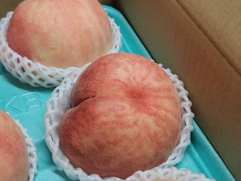 おどろくほど硬くて大きい「おどろき」桃　８０サイズ箱　優品（ご自宅用）