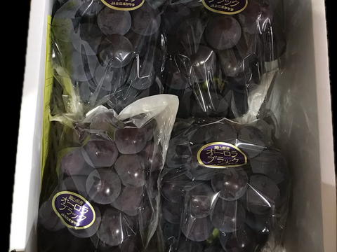 濃厚な甘さとコク！岡山県オリジナル品種「オーロラブラック」