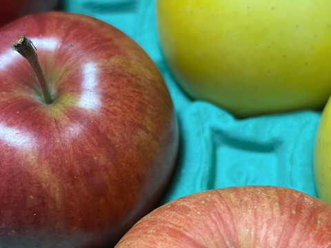 どっちがお好き？？当園人気ナンバー1企画「信州オリジナル林檎食べ比べ」　　お徳用シナノスイート＆シナノゴールド　
訳あり家庭用3キロ中玉　美味しさkeep！スマートフレッシュ鮮度保持貯蔵