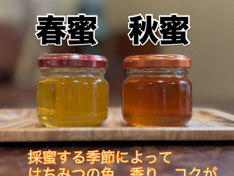 日本蜜蜂西洋蜜蜂蜂蜜セット R7.秋の新蜜 『みつばちからの贈り物』 日本蜜蜂と西洋蜜蜂の
