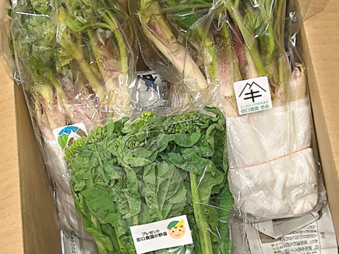 たっぷり増量１Ｋｇ
山菜の王様　山ウド（葉付き）
【レシピ付き：天ぷら、味噌和え】
写真は約１ｋｇの映像です。
