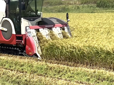 令和6年産　特別栽培米　コシヒカリ白米　真空包装！300ｇ×5個セット