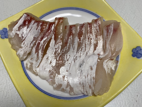 チヌ　黒鯛　美味しい旬が到来！鱗、内臓処理可能。