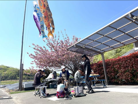令和7年度新米。岡山県産　朝日蓮華米
【約4.5kg】特別栽培米。大粒のふんわり香りもしっかり白米。予約販売中