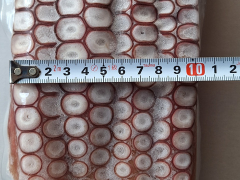 料理に最適！細足４本【函館産】タコ足