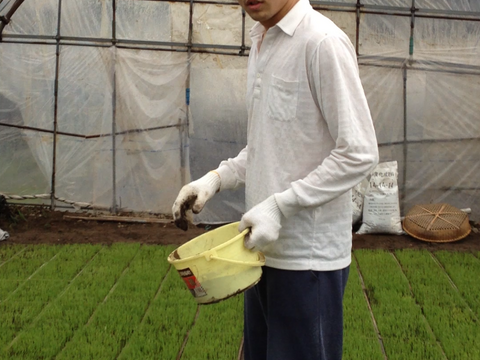 【青森・外ヶ浜ファーム直産】 はれわたり 10kg《大大大好評！！》地産地消・低農薬米