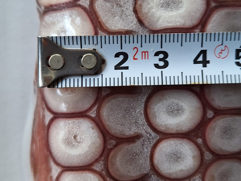 料理に最適！細足４本【函館産】タコ足