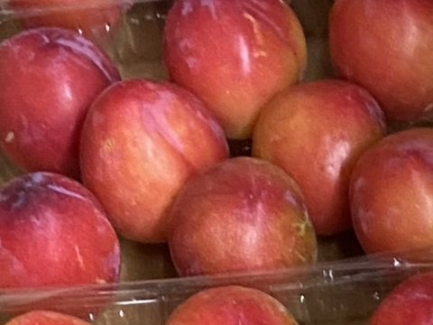 農家直送！1番手プラム【大石早生】1.8kgL玉
甘味と酸味のバランスがたまらない！