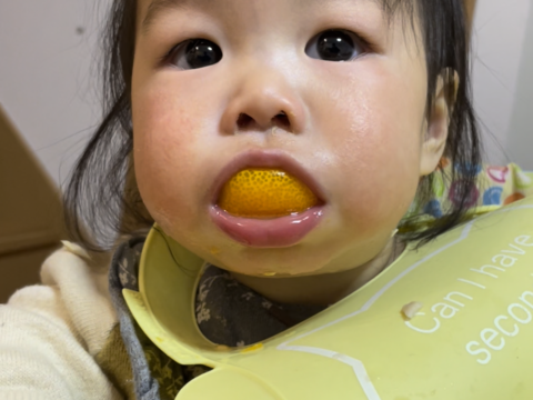 香りバツグン！【ピール用皮】柑橘王国愛媛の伊予柑皮1kg