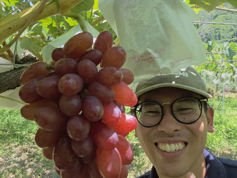 贈答用　長野県産　クイーンセブン1kg