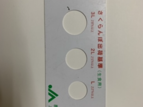 さくらんぼ山形県産佐藤錦！バラ1キロ